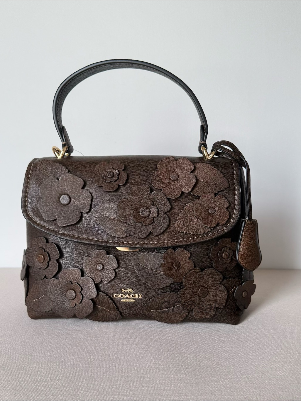 Nwt Coach Emory Floral Appliqu Leather Top Handle Crossbody Bag Brown Maple